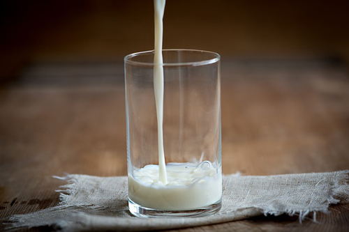 В России 20 процентов молочной продукции не соответствует нормам 